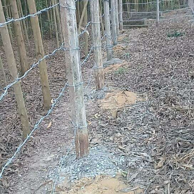 Đất Vườn Lớn siêu đẹp