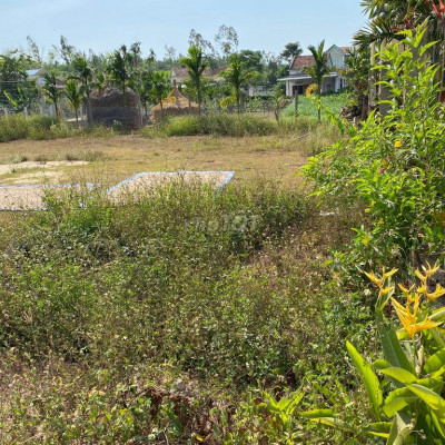 Đât đức chánh mặt tiền đường nhựa .