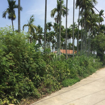 Đất sổ đỏ 99,7m2