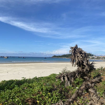 Đất Huyện Bình Sơn 549m²