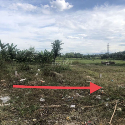 Đất Trường Chinh gần sở Khoa học công nghệ