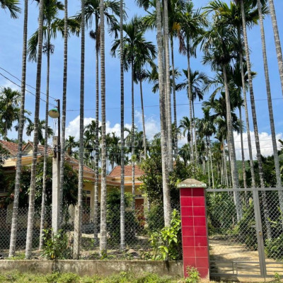 Bán nhà vườn cách thị trấn chợ chùa 6Km