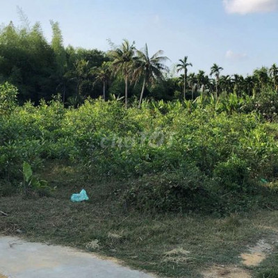 Bán gần 2000m2 đã lên đất ở toàn bộ giá siêu rẻ