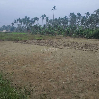 Cần tiền bán gấp 874m2 thổ cư - giá: 850 triệu