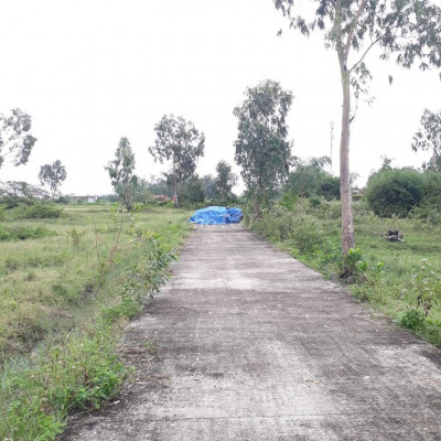 Bán lô đất cho vợ chồng trẻ hồi hương làm nhà