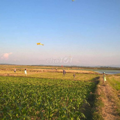 MT tt La Hà nằm ngay đường nối khu đô thị Phú Mỹ