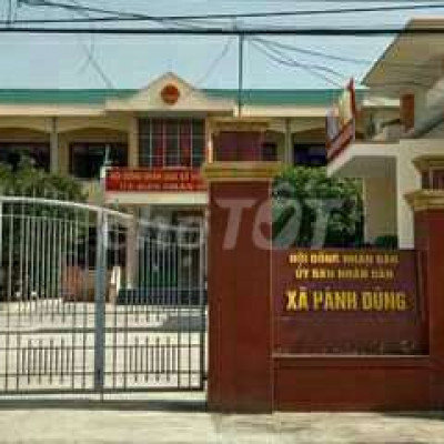 Giá trị tiềm năng!mua nhanh và ngay!