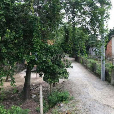 BÁN ĐẤT THUỘC THỊ XÃ ĐỨC PHỔ, QUẢNG NGÃI