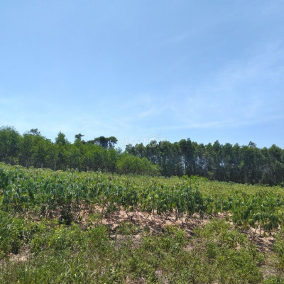 ĐẤT VƯỜN NGHĨA HÀNH QUẢNG NGÃI 7400M2