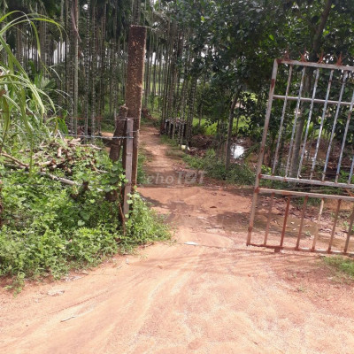 Bán gấp vườn có nhà đang ở 5200m2, 2,5ty tl