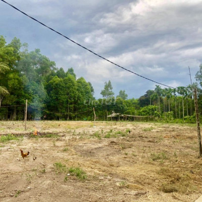 Đất Huyện Tư Nghĩa 100m² giá rẻ chỉ 170tr/ nền