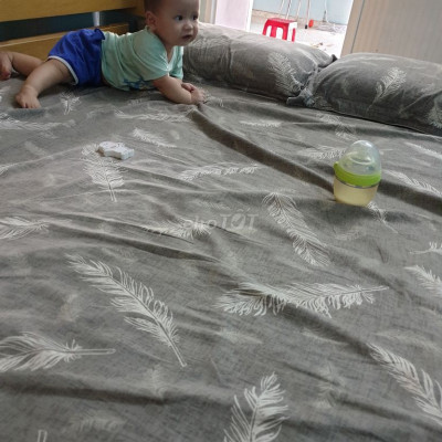 Huyện Bình Sơn 515m², đường nhựa 7m