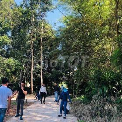 bán Đất 100m²