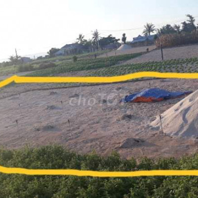 ĐẤT BIỂN LÝ SƠN CẦN BÁN