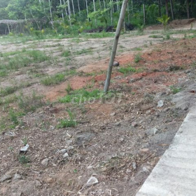 Đất nền ven Quảng Ngãi 100m2 chỉ 170tr.