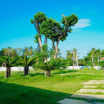 Đất ven Sông Nghĩa Hà Quảng Ngãi -100m2 thổ cư