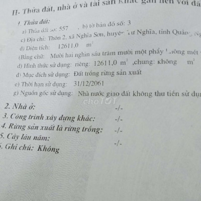 Đất cho thuê đã trông keo.