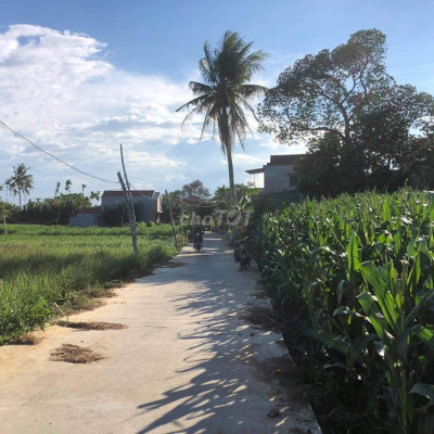 Đất Thành phố Quảng Ngãi 243m², đường ôt