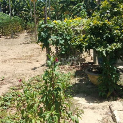 Đất tp Quảng Ngãi (5x35), hướng tây nam, giá 670tr