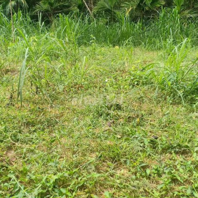 Cần bán gấp lô đất ở nghĩa kỳ 1lo 5 met dài 38 mêt