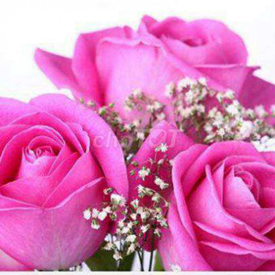 nhà cấp 4 diện tích 150m quảng ngãi