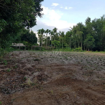 22 lô đất nền SIÊU RẺ Nghĩa Thuận- Tư Nghĩa-