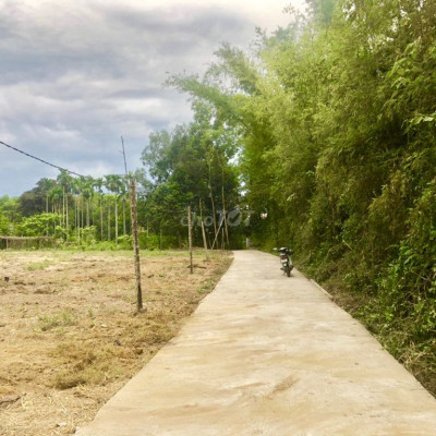 Đất nền giá rẻ  nghĩa thuận tư nghĩa