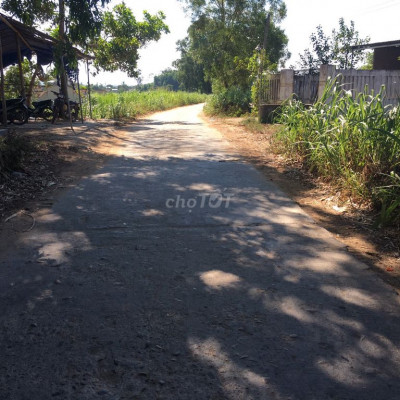 Bán Nhà Cấp 4 Tịnh Phong, Sơn Tịnh, QUảng Ngãi