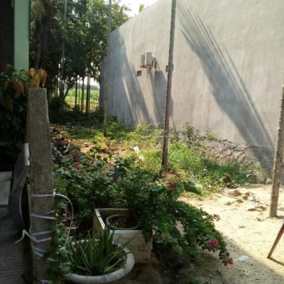 Cần chuyển nhượng lại lô đất ở Nghĩa Điền Tư nghĩa