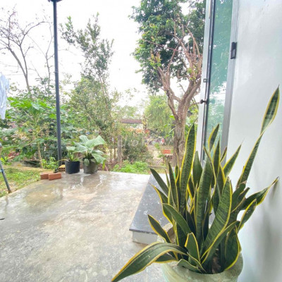 cho thuê nguyên căn nhỏ ở Tx Đức Phổ