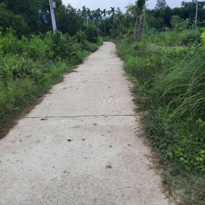 Siêu VIP 5569m Có 400m Đất Ở Đường Bê Tông Oto