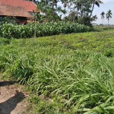 Cần Bán đất BHK gần UBND Nghĩa Kỳ