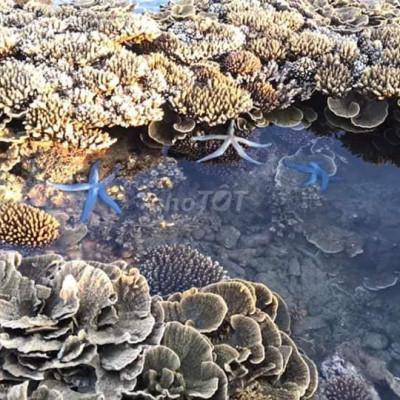 bán lô đất mt gần gành yến , quãng ngãi