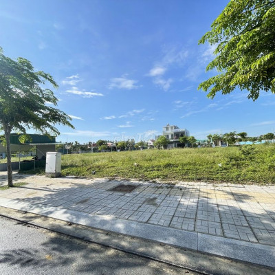 Bán Đ25ất trục Nguyễn Tri Phương 250m2