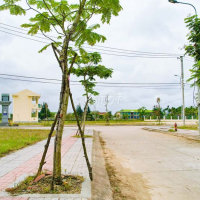 KDC Đông Yên xã Bình Dương Bình Sơn Quảng Ngãi