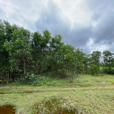 Đất BHK 1100m2 phú văn nghĩa trung gần ray xe lửa