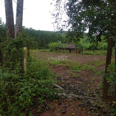 Đất nông nghiệp tại Dung quất, quảng ngãi