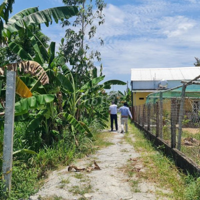 CHÀO BÁN LÔ ĐẤT BIỆT THỰ THUỘC THỊ XÃ ĐỨC PHỔ