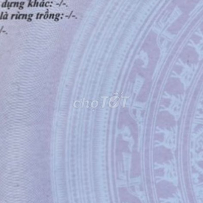 Bán đất biển Tịnh Khê Quảng Ngãi