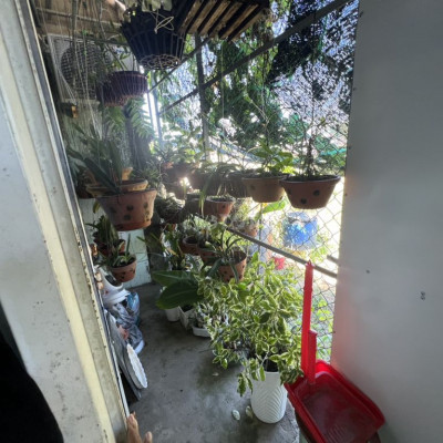 Bán Gấp Nhà Mặt Tiền Trường Sa Trong KDC Nghĩa Phú