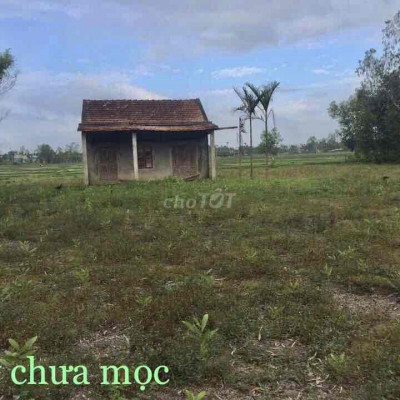 Đất nền Quảng Ngãi giá rẻ