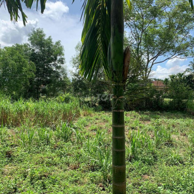 Bán nhanh lô đất rẻ thôn 7 Nghĩa Lâm - Tư Nghĩa