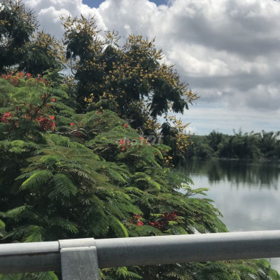 Ngay trung tâm hành chính mới xã Bình Dương