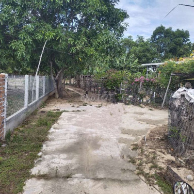 đường bê tông ô tô.gàn biển.