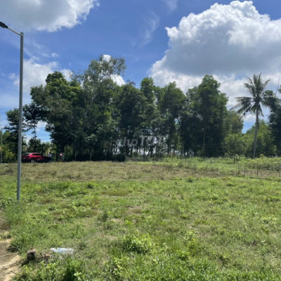 Đất Nghĩa Hành, Gần TP Quảng Ngãi - Đường oto