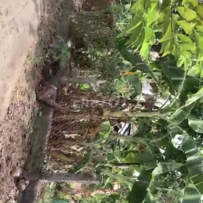 Đất biển xã Bình Hải. huyện Bình Sơn. tỉnh Quảng N