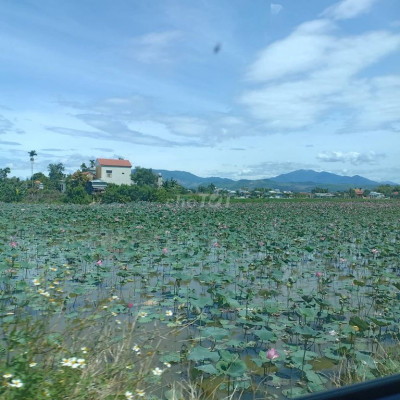 Bán Đất Nền Đã Có Sổ Giá Rẻ Chỉ 370tr