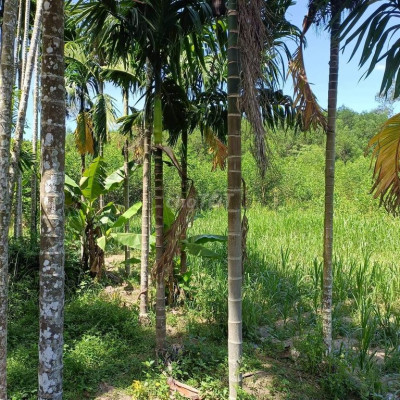 Đất nghĩa thắng