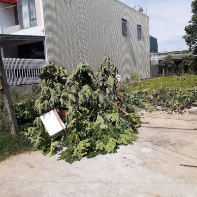 Đất hẻm 72 quảng phú