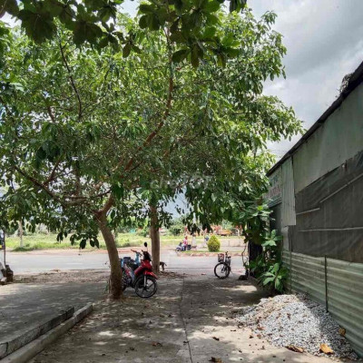 CHO THUÊ NHÀ 230 HOÀNG HOA THÁM